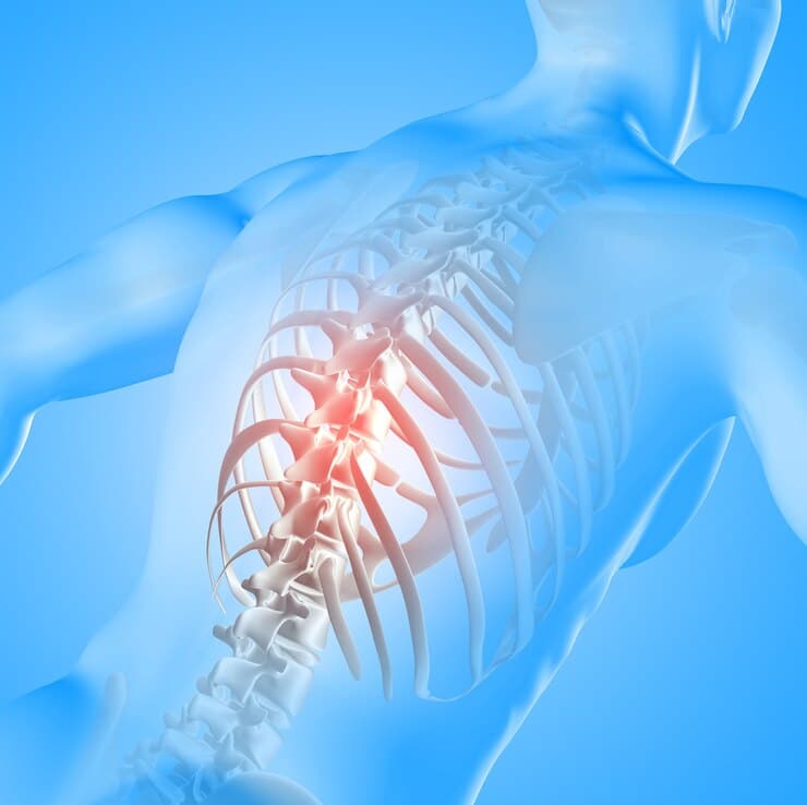 Cervical, Thoracic, and Lumbar Spine: Anatomy, Pain & Treatments