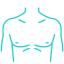 chest