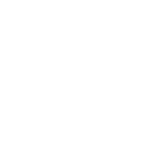bladder